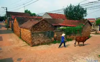 Làng cổ Đường Lâm