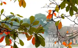 Cẩm nang của lịch Hà Nội