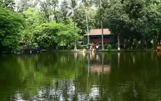 Nhà sàn bác Hồ – Kiến trúc nhỏ, di sản lớn