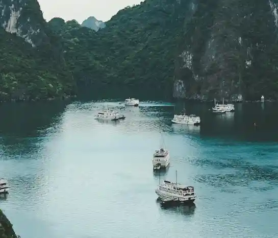2 Days 1 Night - Ha Long Bay Discovery