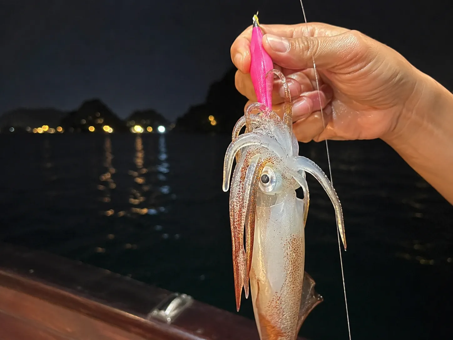 Squid Fishing