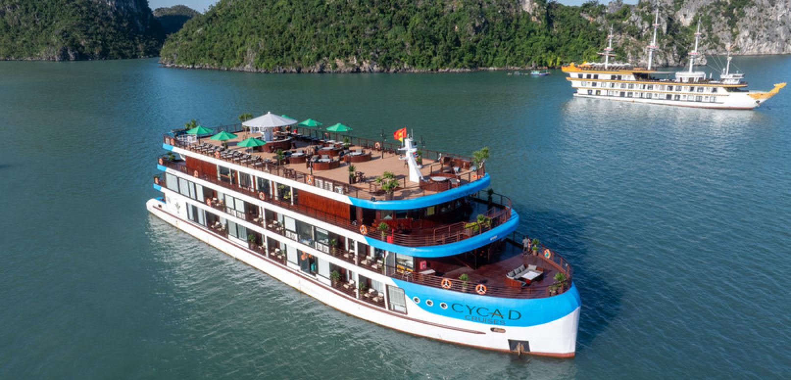 Cultural Preservation Initiatives